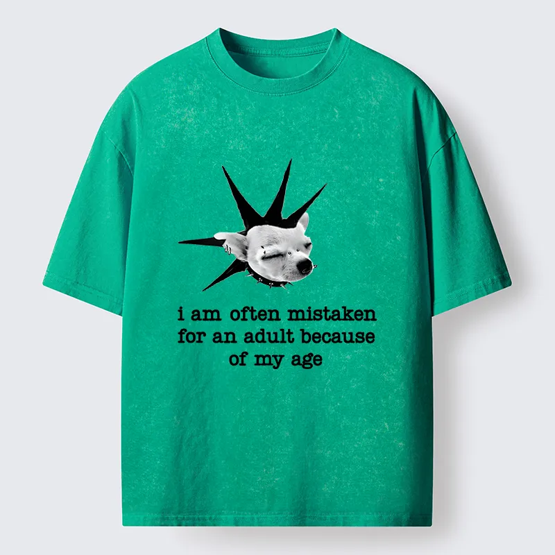 Tokyo-Tiger My Mental Age Is Very Young Washed T-Shirt