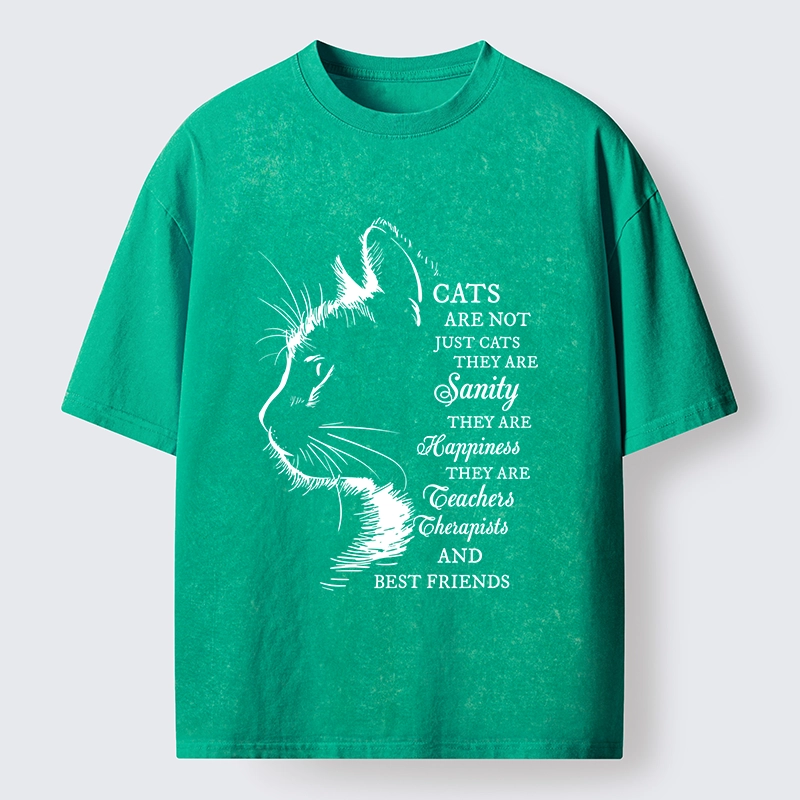 Tokyo-Tiger Cat Best Friend Washed T-Shirt