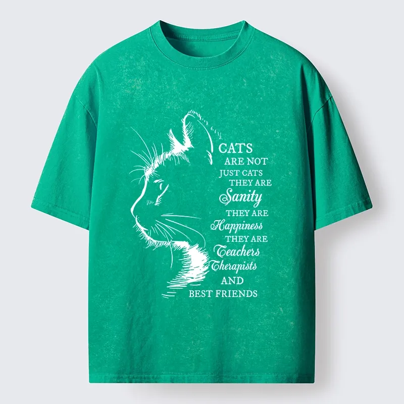 Tokyo-Tiger Cat Best Friend Washed T-Shirt