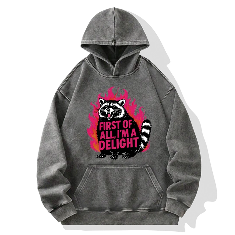 Tokyo-Tiger Angry Raccoon Funny Cat Washed Hoodie