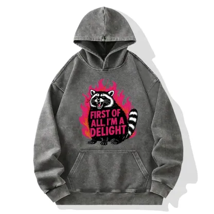 Tokyo-Tiger Angry Raccoon Funny Cat Washed Hoodie