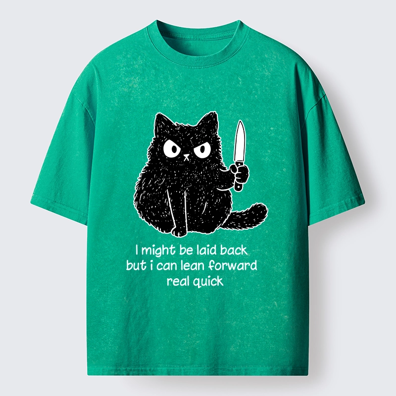 Tokyo-Tiger Dont Mess With This Cat Washed T-Shirt