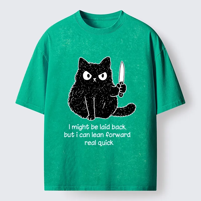 Tokyo-Tiger Dont Mess With This Cat Washed T-Shirt