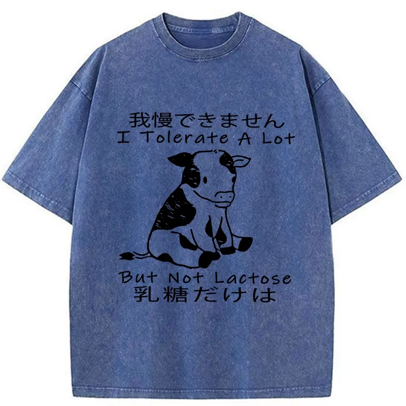 Tokyo-Tiger I Can't Tolerate Lactose Washed T-Shirt