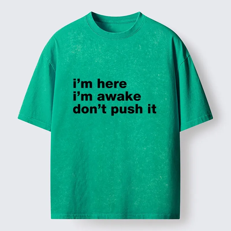 Tokyo-Tiger Awake But Not Ready Vibe Washed T-Shirt