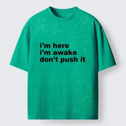 Tokyo-Tiger Awake But Not Ready Vibe Washed T-Shirt