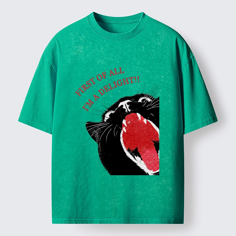 Tokyo-Tiger Funny Cat Yelling Quote Meme Washed T-Shirt