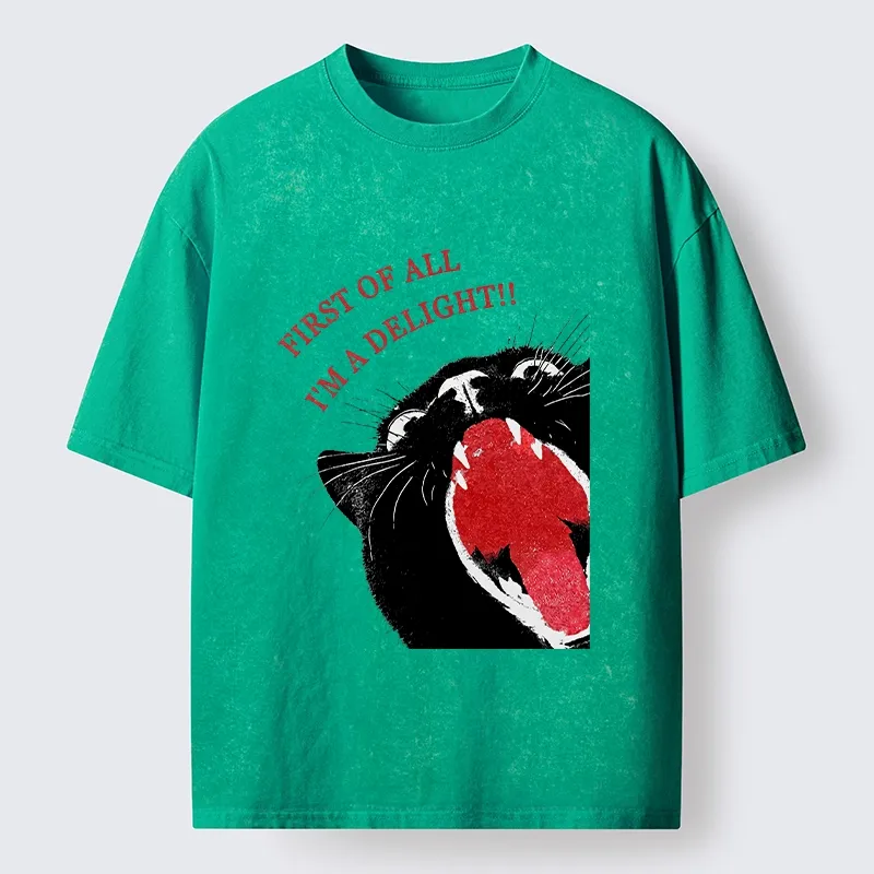 Tokyo-Tiger Funny Cat Yelling Quote Meme Washed T-Shirt