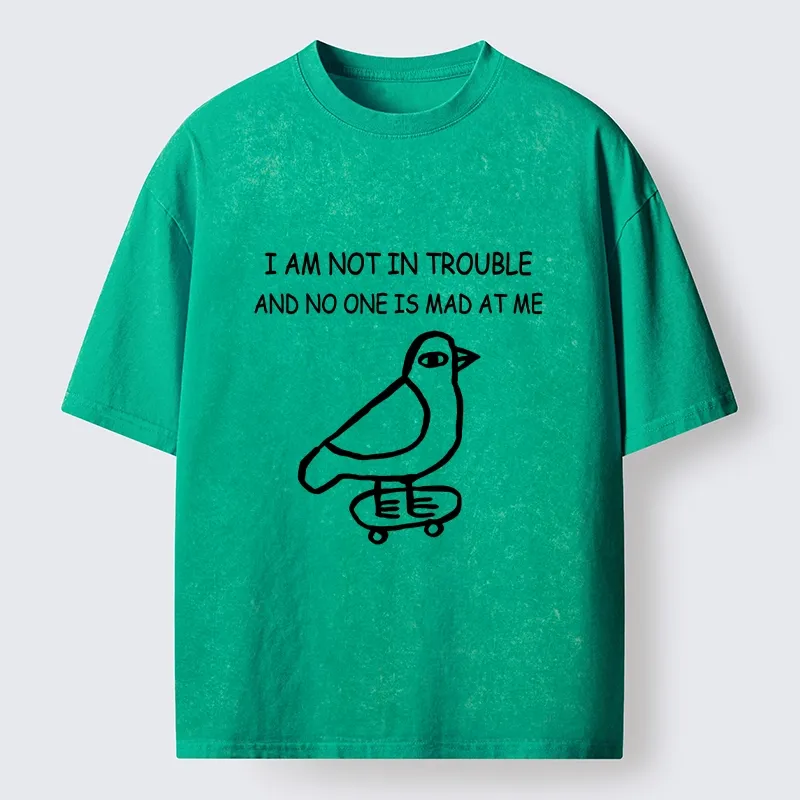 Tokyo-Tiger Bird Pretends It Did Nothing Wrong Washed T-Shirt