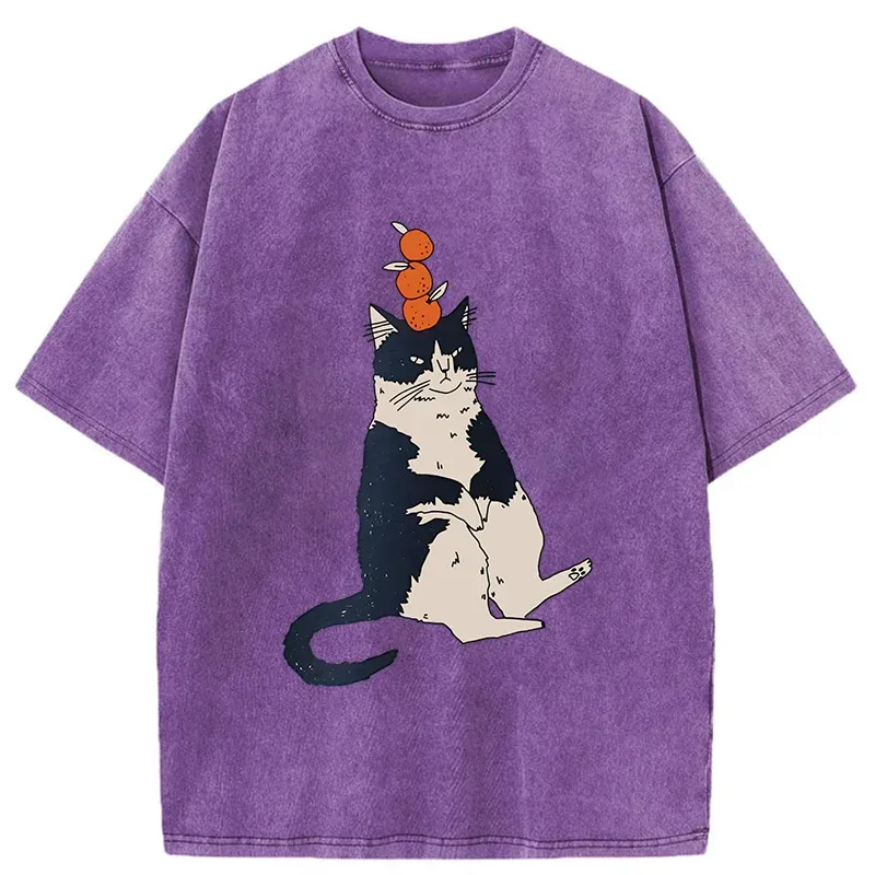 Tokyo-Tiger Cat With Orange On Head Washed T-Shirt