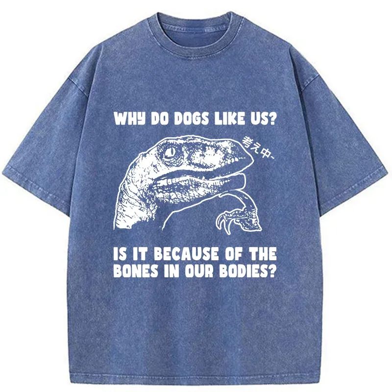 Tokyo-Tiger Thinking Philosoraptor Washed T-Shirt