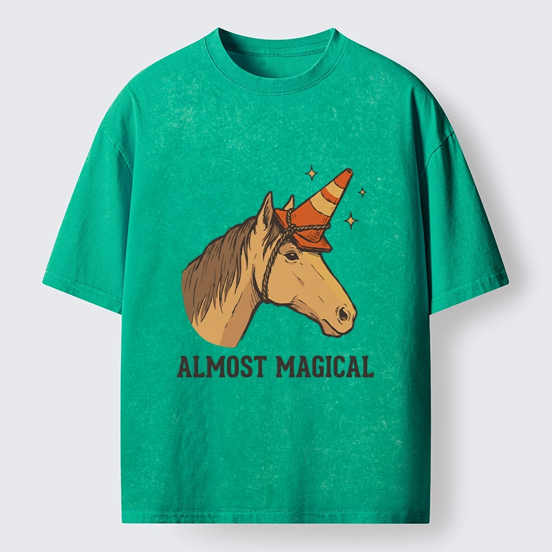 Tokyo-Tiger Silly Horse Trying To Be Magical Washed T-Shirt