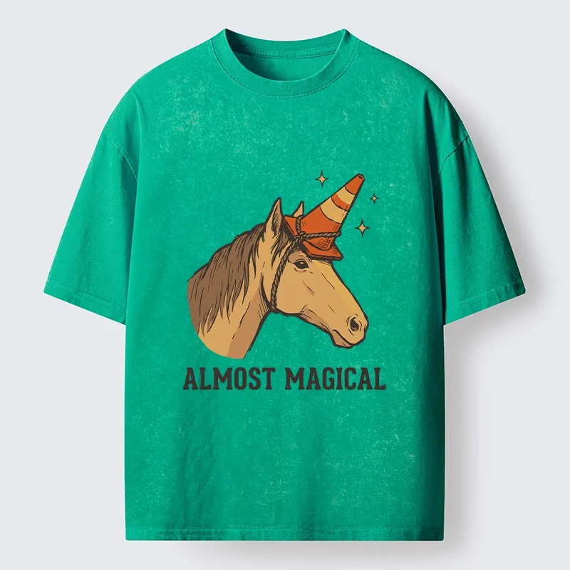 Tokyo-Tiger Silly Horse Trying To Be Magical Washed T-Shirt