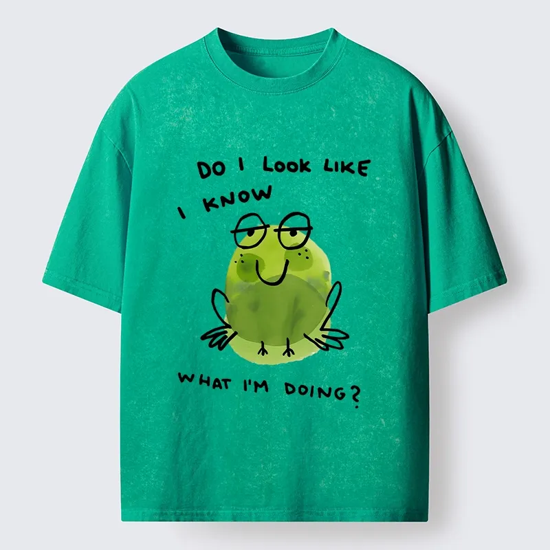 Tokyo-Tiger Little Green Frog Has No Idea What’s Next Washed T-Shirt