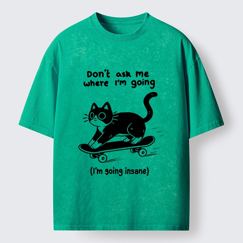 Tokyo-Tiger Black Cat Skating Away From Sanity Washed T-Shirt