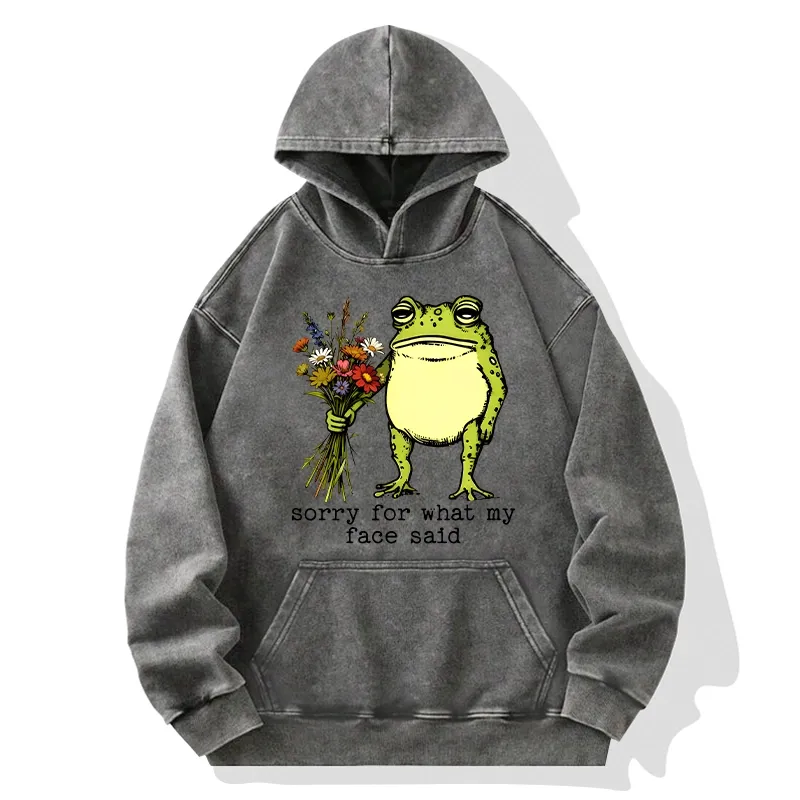Tokyo-Tiger Frog Sorry Mode Activated Washed Hoodie