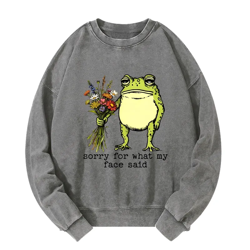 Tokyo-Tiger Frog Sorry Mode Activated Washed Sweatshirt