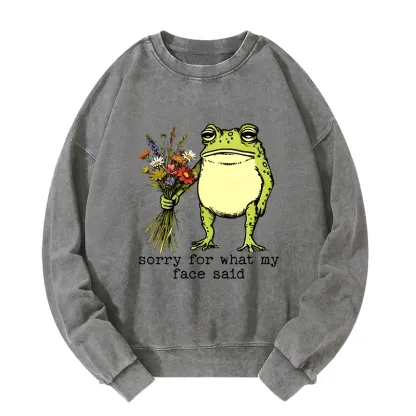 Tokyo-Tiger Frog Sorry Mode Activated Washed Sweatshirt