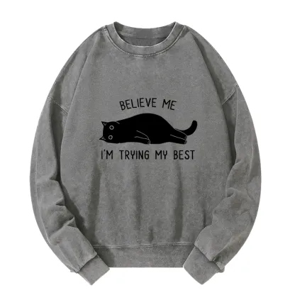Tokyo-Tiger When Life Is Hard Nap First Washed Sweatshirt