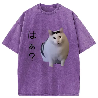 Tokyo-Tiger Suspicious Funny Cat Washed T-Shirt