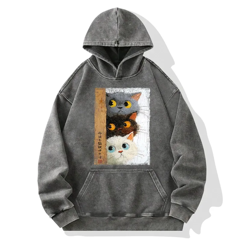 Tokyo-Tiger Three Cute Cats Watch You Washed Hoodie