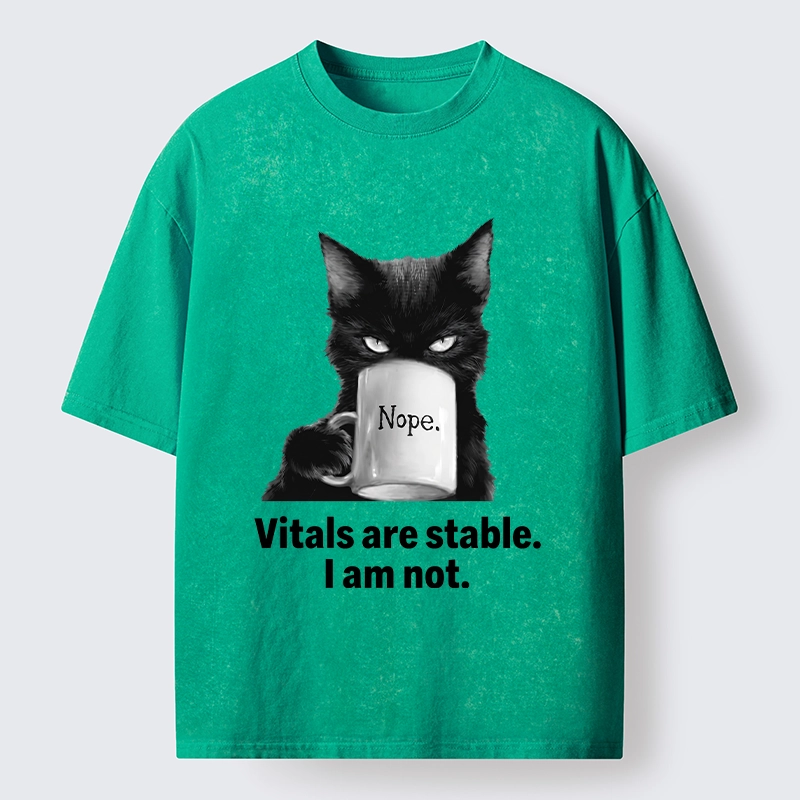 Tokyo-Tiger Grumpy Black Cat Coffee Meme Washed T-Shirt