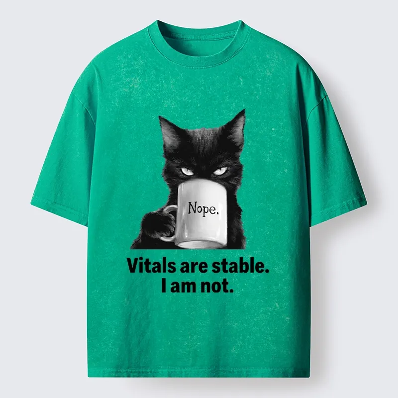 Tokyo-Tiger Grumpy Black Cat Coffee Meme Washed T-Shirt