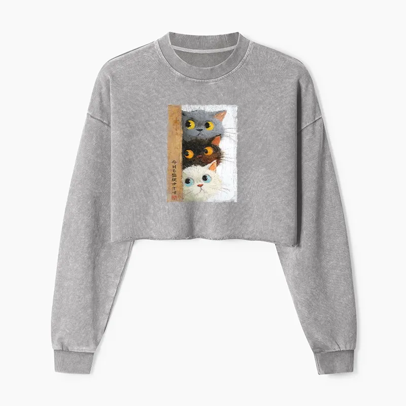 Tokyo-Tiger Three Cute Cats Watch You Washed Crop Sweatshirt