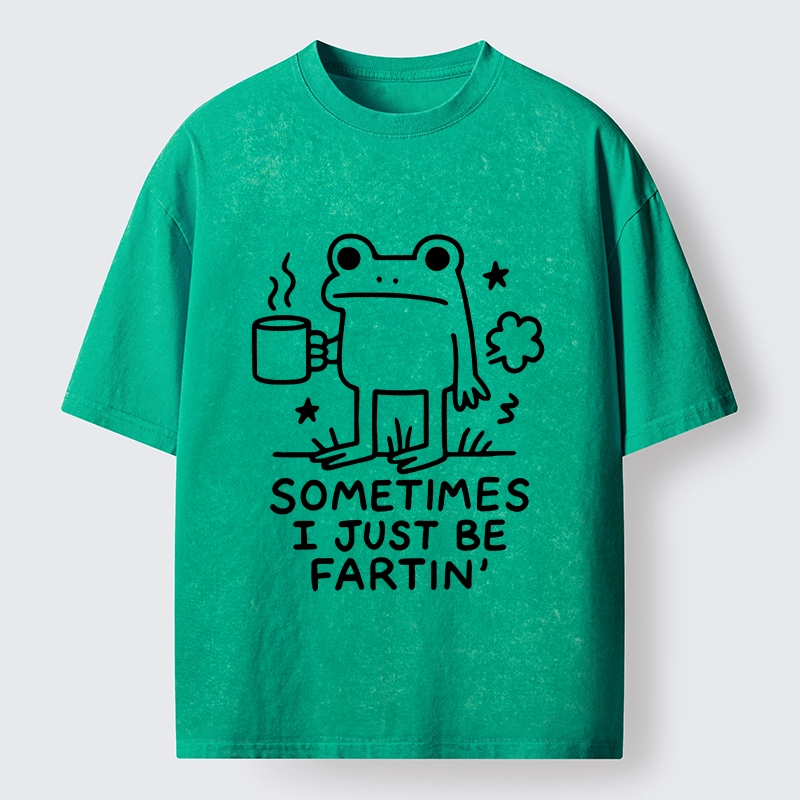 Tokyo-Tiger Sometimes A Frog Just Needs To Fart Washed T-Shirt