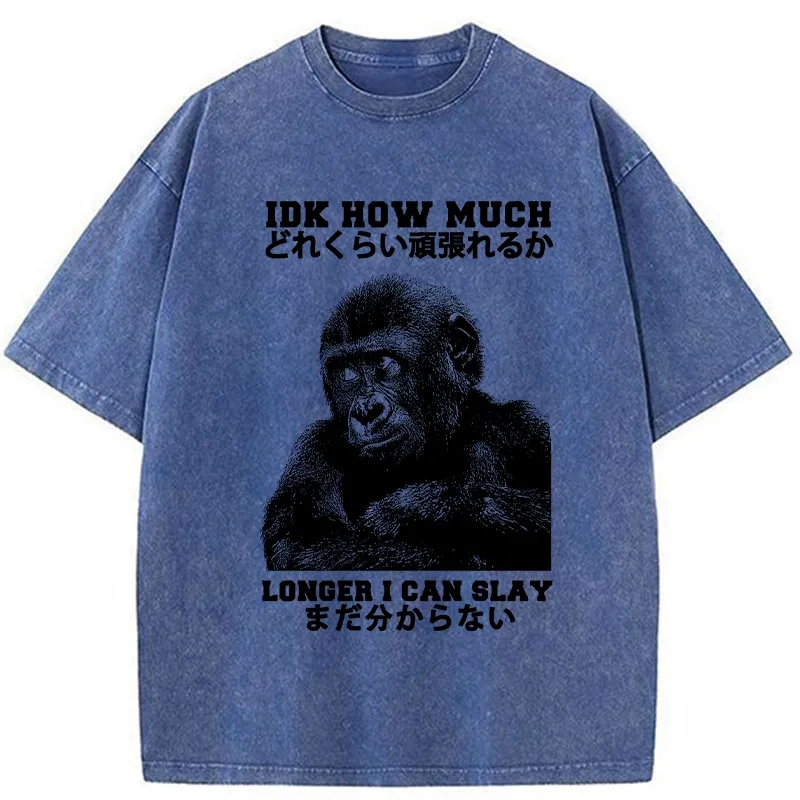Tokyo-Tiger I Don't Know How Long I Can Slay Washed T-Shirt