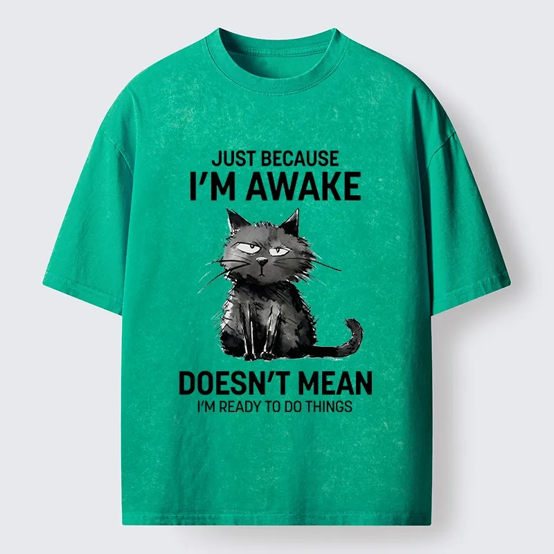 Tokyo-Tiger Grumpy Cat Not Ready To Do Things Washed T-Shirt