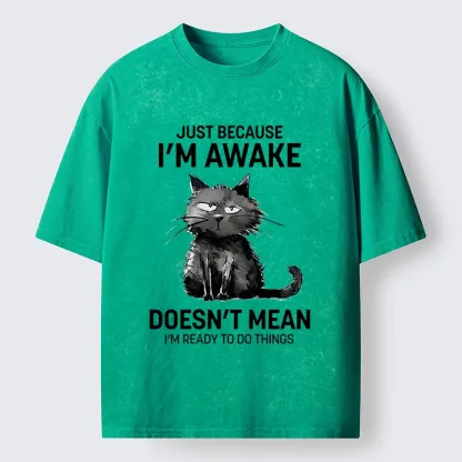 Tokyo-Tiger Grumpy Cat Not Ready To Do Things Washed T-Shirt