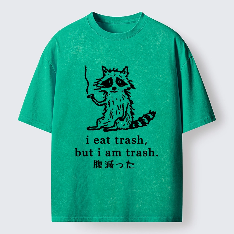 Tokyo-Tiger Raccoon’s Trashy Lifestyle Washed T-Shirt