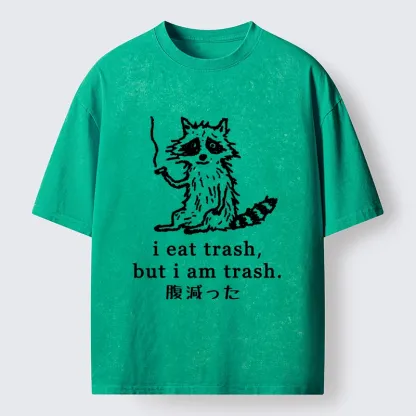 Tokyo-Tiger Raccoon’s Trashy Lifestyle Washed T-Shirt