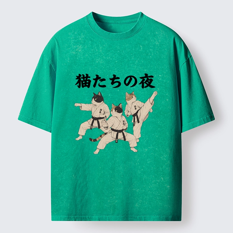 Tokyo-Tiger Funny Karate Cats Black Belt Meme Washed T-Shirt