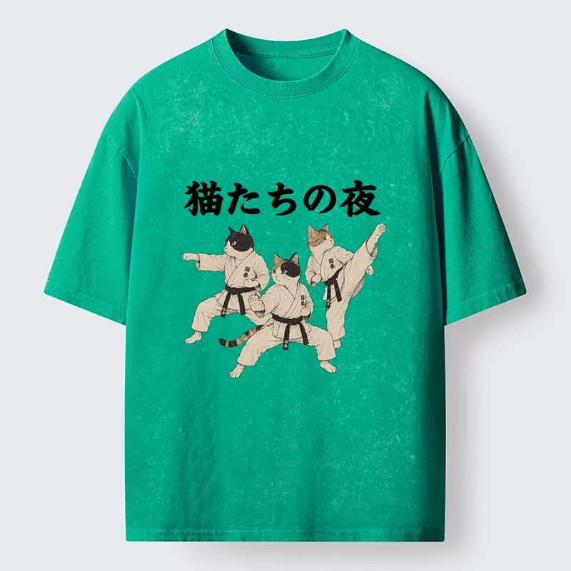 Tokyo-Tiger Funny Karate Cats Black Belt Meme Washed T-Shirt
