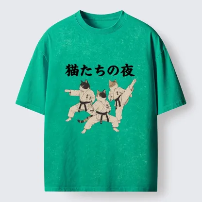 Tokyo-Tiger Funny Karate Cats Black Belt Meme Washed T-Shirt
