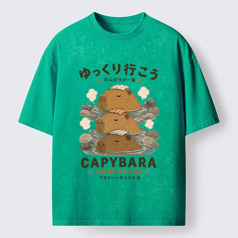 Tokyo-Tiger Hot Spring Life Slow Vibes Only Washed T-Shirt