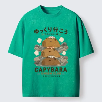 Tokyo-Tiger Hot Spring Life Slow Vibes Only Washed T-Shirt
