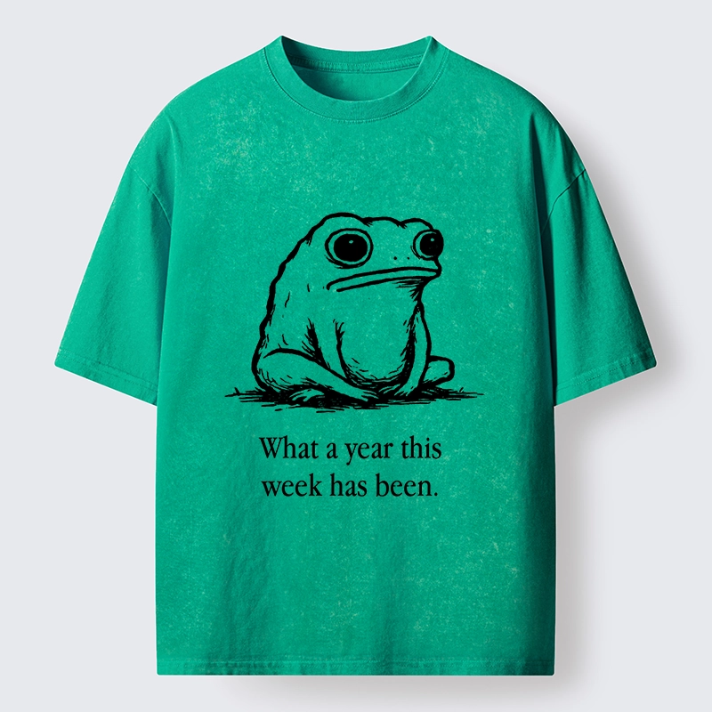 Tokyo-Tiger This Week Feels Like A Whole Year Washed T-Shirt
