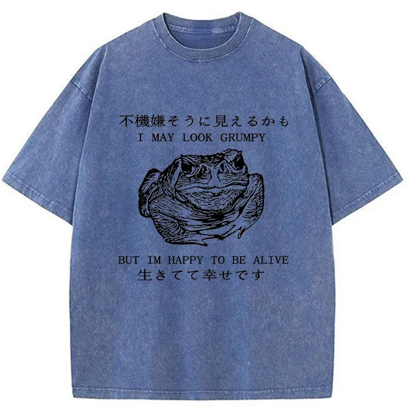 Tokyo-Tiger Emotionally Calm Frog Washed T-Shirt