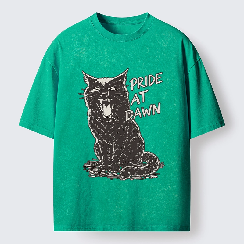 Tokyo-Tiger Cool Black Cat With Pride At Dawn Washed T-Shirt