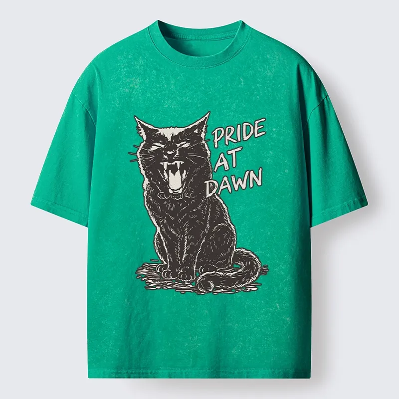 Tokyo-Tiger Cool Black Cat With Pride At Dawn Washed T-Shirt