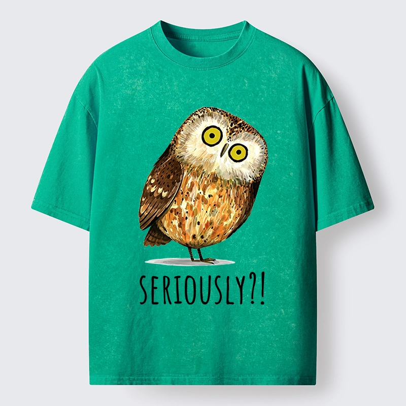 Tokyo-Tiger Seriously Confused Owl Meme Art Washed T-Shirt
