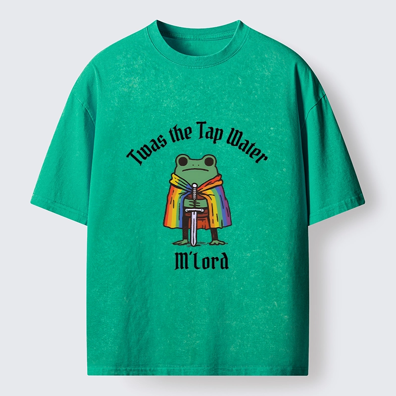 Tokyo-Tiger Funny Rainbow Cloak Frog With Sharp Sword Washed T-Shirt
