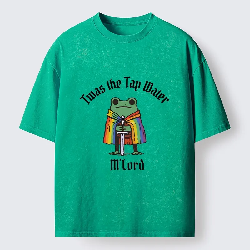 Tokyo-Tiger Funny Rainbow Cloak Frog With Sharp Sword Washed T-Shirt