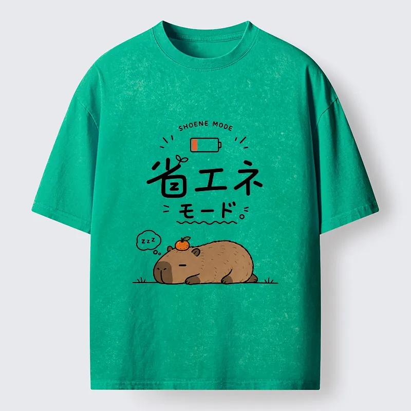 Tokyo-Tiger Capybara Naps Through Slow Lazy Days Washed T-Shirt