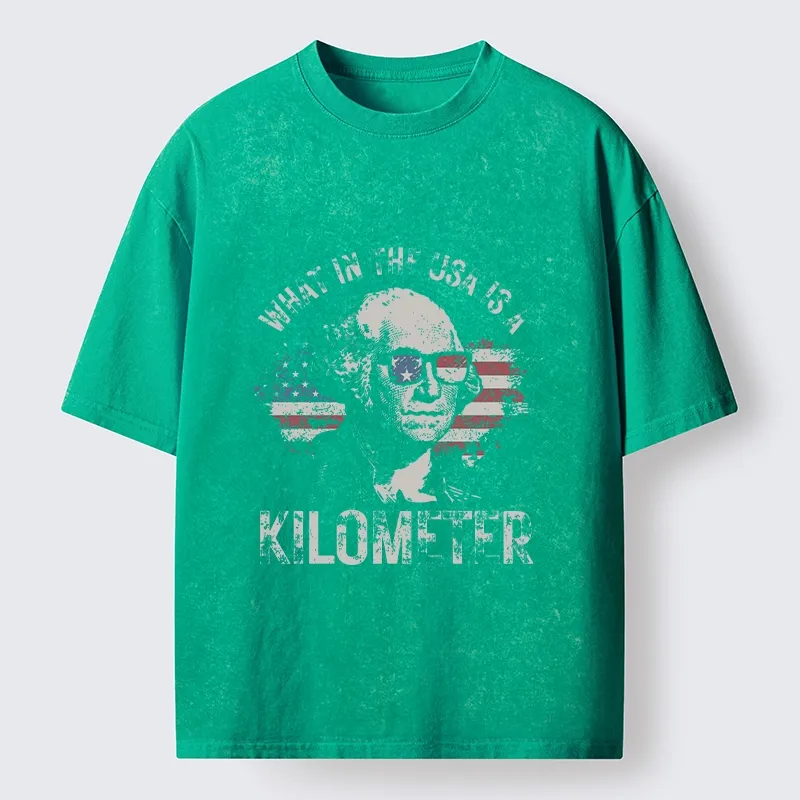 Tokyo-Tiger Patriotic Flag Lens Washington Humor Design Washed T-Shirt