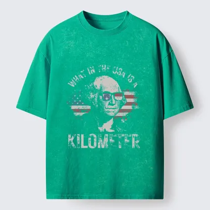 Tokyo-Tiger Patriotic Flag Lens Washington Humor Design Washed T-Shirt