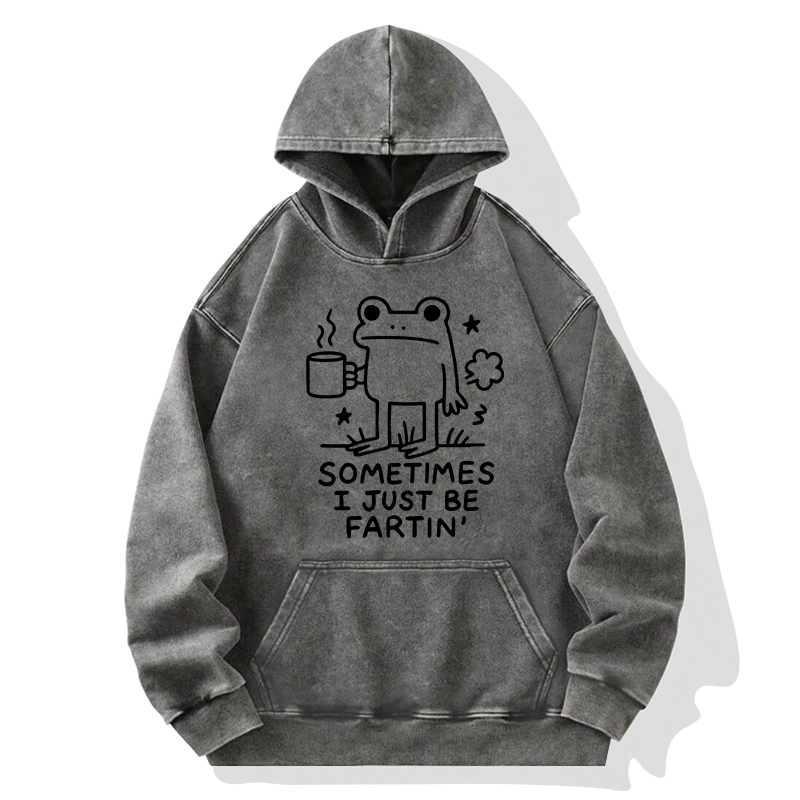 Tokyo-Tiger Sometimes A Frog Just Needs To Fart Washed Hoodie